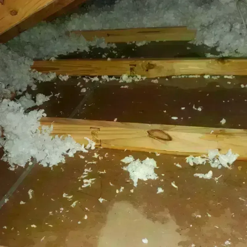 Attic Water Damage in Muncy, PA